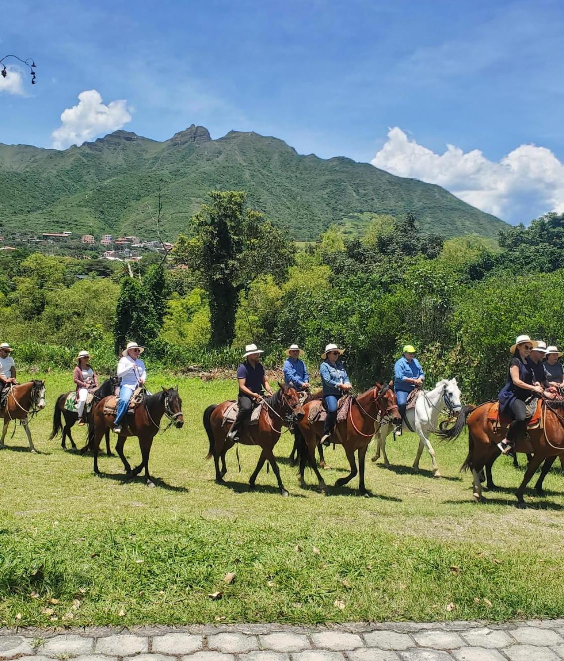 El Descanso Del Toro Hosteria-Spa Vilcabamba Eksteriør billede